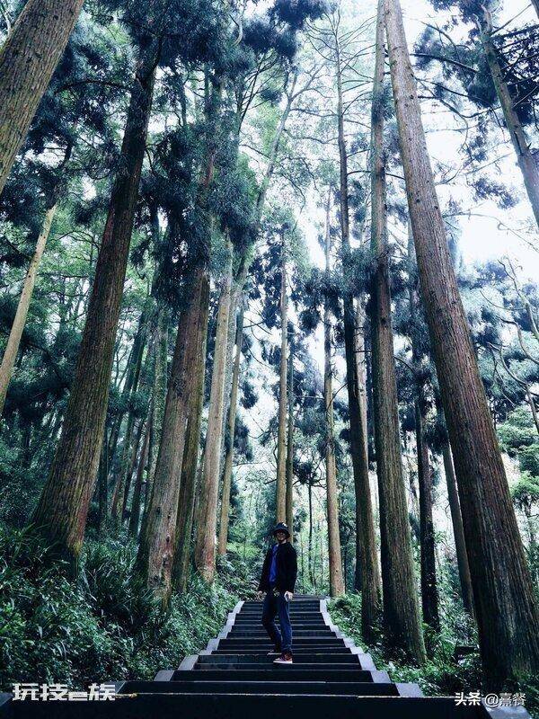 青城山海拔多少米高(成都都江堰青城山景区的游玩攻略)-图片2